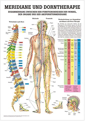 Rüdiger Meridiane u. Dorn Lehrtafel Anatomie 100x70 cm medizinische Lehrmittel