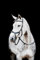 Horseware HW Micklem2 Multi Bridle, Vollblut, Schwarz