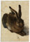 Fridolin 18906 Brillenputztuch Albrecht Dürer - Feldhase, Mikrofaser, 18 x 12,5 cm