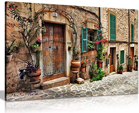 Panther Print Kunstdruck auf Leinwand, Motiv: alte mediterrane Städte, Blumentür, Fenster, Architektur, 91x61cm (36x24in)