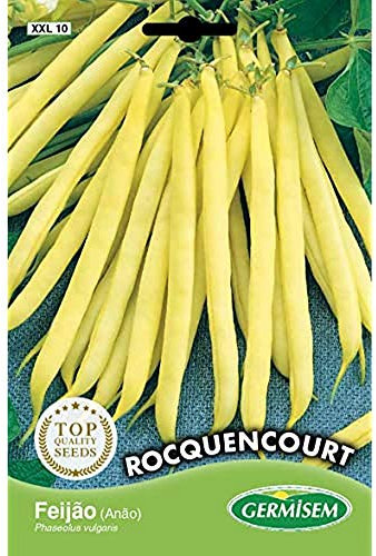 Germisem Rocquencourt Semi di Fagioli Francesi 100 g