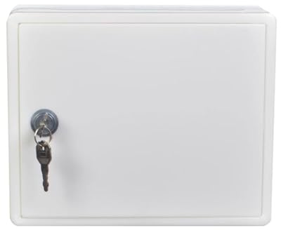 MagiDeal Wall Mounted Milk Box with Lock, Milk Crate, Locking Mailbox Lockable Milk Delivery Box for Office Household Garden