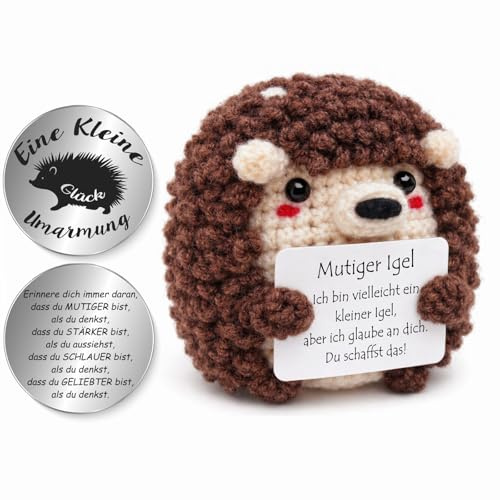 Tixlux Pocket Hug Positive Igel, Kreative Strickwolle Igel Figur und Kleine Umarmung Glücksbringer, Geschenke zur Einschulung, MutmacherGeschenk, Gute Besserung Geschenk, Einschulung Geschenk