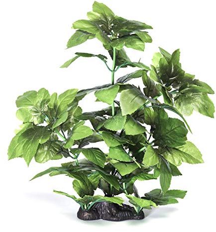 Pistachio Pet - Beautiful Aquarium Plant 16/40cm With Base