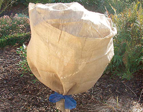 Siena Garden Jute-Schutzvlies 105x500cm