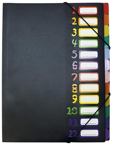 TimeTEX Fächermappe A4, farbig mit Verschlussgummi, Fächer 1 bis 12 nummeriert | Dokumentenmappe