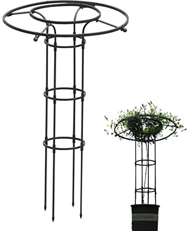 Dirfuny Jardin, Tuteur Plante Grimpante, Jardin Tuteurs Plantes, Treillis Fleur Soutien Arche Jardin en Forme Tour pour Plantes Grimpantes