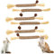 ZephyrCraft 6 Stück Katzenminze Sticks, Natürliches Katzenspielzeug mit Katzenminze, Kausticks für Katzen-Zahnpflege Spielzeug für Katzen, Interaktives Spielzeug für gesunde Zähne und frischen Atem