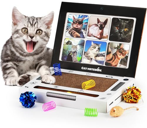 3-in-1 Cat Scratcher Laptop: Indoor Scratch Pad with Built-In Interactive Bell Ball & Kitten Toy