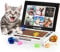 3-in-1 Cat Scratcher Laptop: Indoor Scratch Pad with Built-In Interactive Bell Ball & Kitten Toy