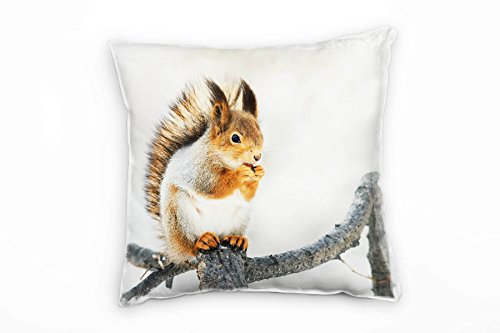 Paul Sinus Art Tiere, Eichhörnchen, orange, braun, weiß Deko Kissen 40x40cm für Couch Sofa Lounge Zierkissen - Dekoration zum Wohlfühlen