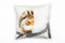 Paul Sinus Art Tiere, Eichhörnchen, orange, braun, weiß Deko Kissen 40x40cm für Couch Sofa Lounge Zierkissen - Dekoration zum Wohlfühlen