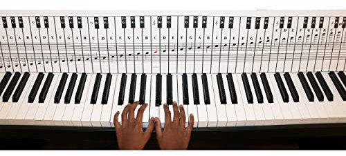 QMG Piano and Keyboard Note Chart for 88 Keys, Use Behind the Keys, Ideal Visual Tool for Beginners Learning Piano or Keyboard, Easy to Set Up
