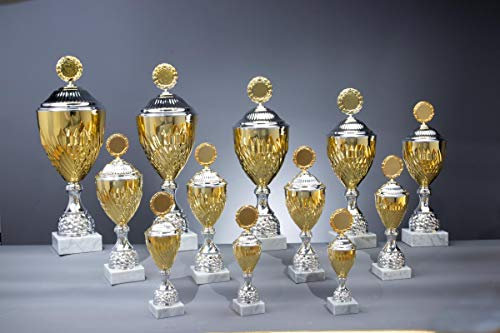 eberin · Pokal Serie Joeleen, Gold-Silber, mit Wunschtext und auswählbarem Motiv-Emblem, Größe 60 cm