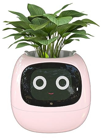 Masdio Pots de Fleurs intelligents, avec Intelligence Artificielle, Affichage de la température et de Nombreuses animations expressives basées sur l'environnement, pour décoration intérieure (Rose)