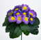 Seidenblumen Roß Primelbusch 24x22cm helllila mit 20 Blüten PM Kunstblumen Kunstpflanzen künstliche Primel Schlüsselblume