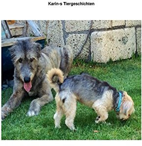 Karin's Tiergeschichten: Besondere Geschichten von Tieren