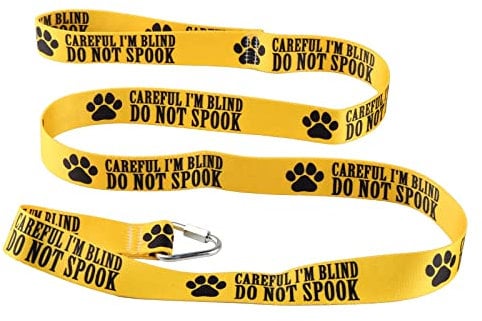 Visual Impairment Dog Leash - Careful I'm Blind, Do Not Spook - Walking Training Leash for Pet Owners (Careful I'm Blind-YE)