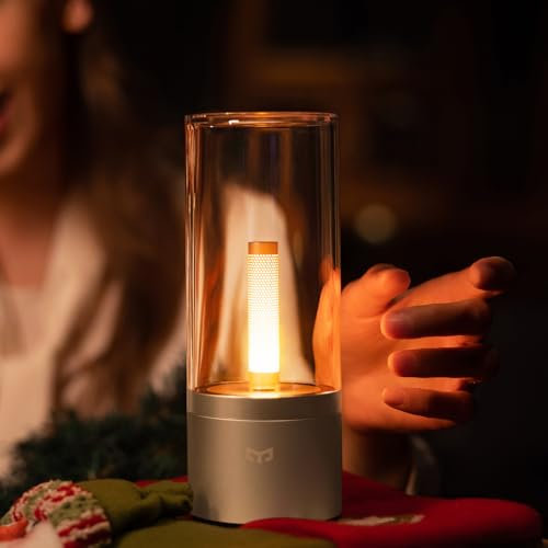 Small Cordless Table Lamp, Rechargeable LED Night Light, Dimmable Battery Operated Bedside Lamp for Bedroom, Living Room, Portable Modern Design with Candlelight for Nightstand, Restaurant, Home Decor