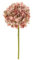 Nuvole di Stoffa Ortensia finto rosa antico screziata cm 46 x15