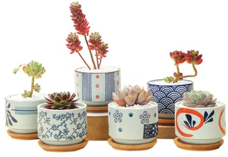 GANAZONO Pot Succulent Céramique avec Peinture Claire et Plateau Bambou Résistant à Eau Décoration Intérieure et Jardin Extérieur Style Japonais