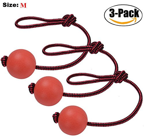 Tmalltide Hard Rubber Dog Balls on Rope 3 pack, Elastic Solid Dog Toys Ball Launcher Pet Chew Training Exercise Reward Playing Toy (M)