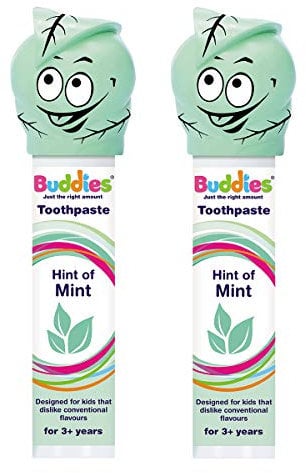 Buddies Toothpaste Hint of Mint Pump Dispenser Twin Pack 100ml x 2 Mild Butter Mint Taste, SLS Free, for Those That Dislike Most Minty Toothpastes