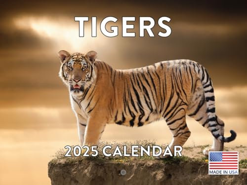 Tiger Kalender 2024 Wandkalender Monatlich