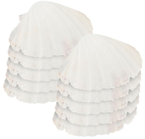 Homoyoyo 10stücke Natürliche Jakobsmuscheln Muschelplatten 12-14cm Beige für Selbstgemacht Graffiti Malerei und Speisendressing Einzigartige Dekorative Schalen für Geburtstag und Zuhause