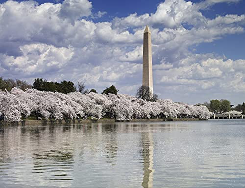 hansepuzzle 50000 - Denkmal Puzzle 1000 Teile | Hintergründe Puzzle mit hochwertiger Puzzle Aufbewahrung: Kartonbox und Wieder verschließbarem Beutel | Puzzle-Maße: 60 x 46 cm