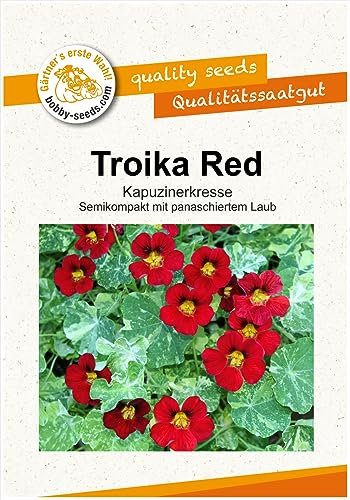 Blumensamen Red Troika Kapuzinerkresse Portion