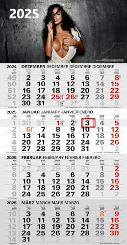 Sexy 4-Monatskalender Kompakt 2025 erotischer Bürokalender großer Erotik Wandkalender