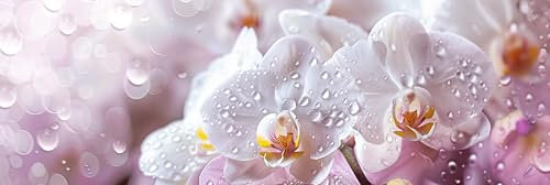 5D Orchidee Diamond Painting XXL 50x150cm, DIY Diamant Painting Bilder Wassertropfen Diamond Painting Erwachsene Bastelset, Diamond Painting Bilder Kinder Strass Stickerei Set, Zimmer Wall Decor-Y161