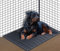 MrHN 6 Pack Hundehütte Bodenbelag - Zwinger Deck, Hundehütte Bodenbelag Outdoor, Zwinger Deck Bodenbelag für Hunde draußen, Statt Hundebox Tablett 42 x 28 Zwinger