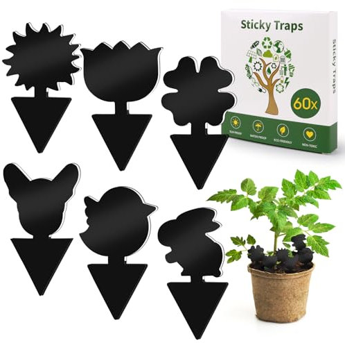 60 Stück Trauermücken Bekämpfen,nematoden gegen trauermücken für Fruchtfliegen, Doppelseitige Mückenfalle,Gegen Trauermücken für die Zimmerpflanzen,Fliegenfalle Blumentopf,Sicher,Geruchlos,Schwarz
