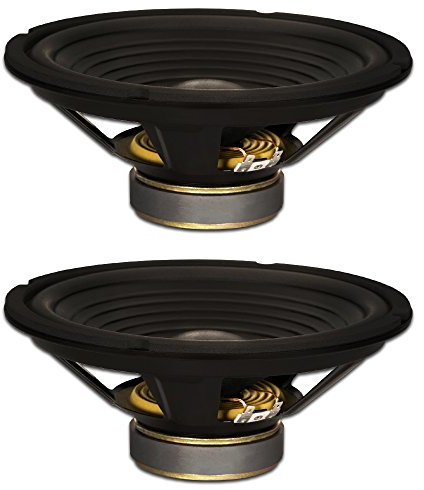 Goldwood Sound, Inc. Stage Subwoofer, OEM 10 Woofers 220 W cada 8 ohm Repuesto 2 Altavoces Set (GW-210/8-2)