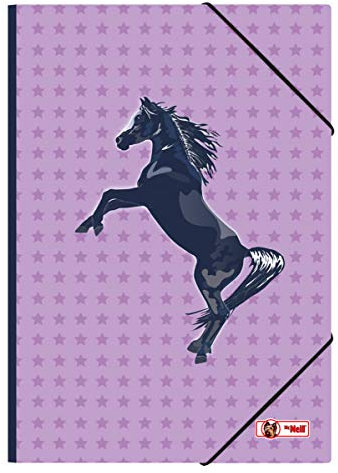 McNeill Gummizugmappe A3, 2020