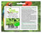 Stk - 10x Ligustrum japonicum Japanischer Liguster Garten Pflanzen - Samen B1258 - Seeds & Plants Shop by Ipsa