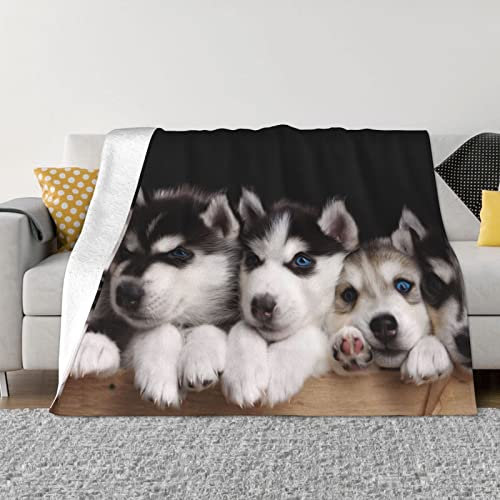 Husky Flanell-Decke, ultraweich, leicht, bequem, warm, Überwurfdecke für Zuhause, Schlafzimmer, Sofa, Büro, 101,6 x 76,2 cm