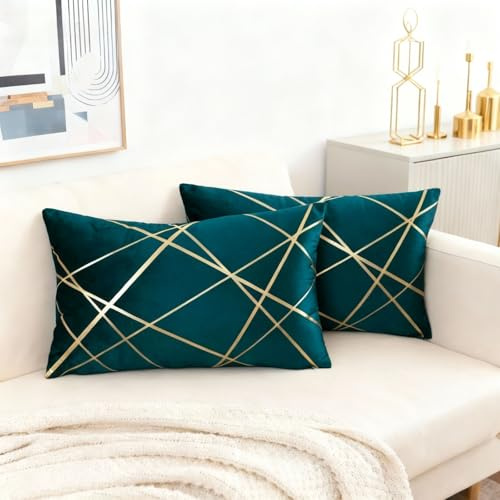Miuyunya Housse Coussin 30x50 Motif Bleu Canard Velours Coussin Decoratif Canape Moderne Aesthetic Taie d'oreiller Lignes Dorées Boheme Vintage Decoration pour Jardin Extérieur Maison