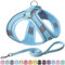 AIITLE Bequemes Hundegeschirr und Leine Set zum Gassi gehen - Step in Vest Harness, Reflektierende Bänder, Einstellbare No Pull Puppy Essentials, für kleine Hunde und Hauskatzen Reines Blau XS