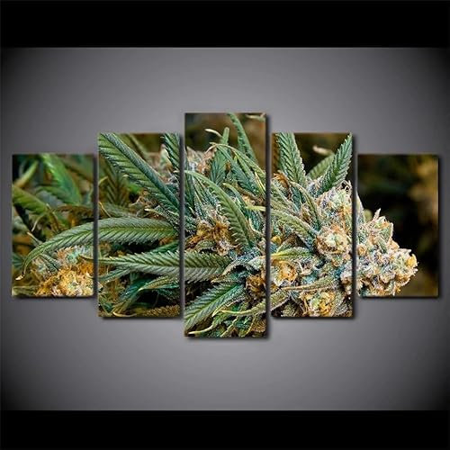 TETEOLALA Leinwand Bilder 5 Teilig Marihuana Unkraut Cannabis Ganja Pflanze Wandbilder Wohnzimmer Modern Bilder, Poster, Kunstdrucke Büro Flur Bad Küchebilder -Ungerahmt