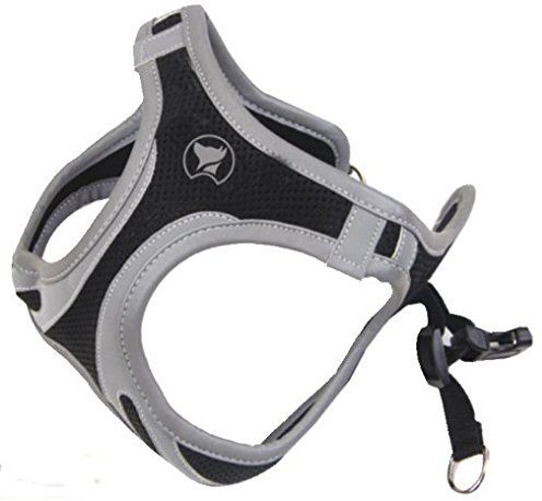 Croci C5081646 Hundegeschirr Hiking Reflective, XL