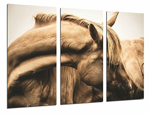 Wandbild - Nostalgie, Tier Brown Horse, 97 x 62 cm, Holzdruck - XXL Format - Kunstdruck, ref.26857
