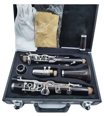 Klarinetten-Set G-Tune-Klarinette 18 Tasten Ebenholz Vernickelt Professionelles Musikinstrument Mit Koffer