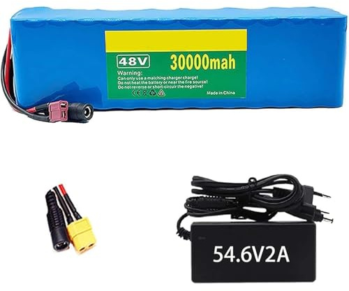 BDBLFLTZ 48V 30Ah E-Bike Akku für 1000W 750W 500W Elektrofahrrad Scooter Motor, E-Bike Lithium-Ionen Akku, Lectric Bike Battery Pack mit 54.6V 2A Ladegerät XT60