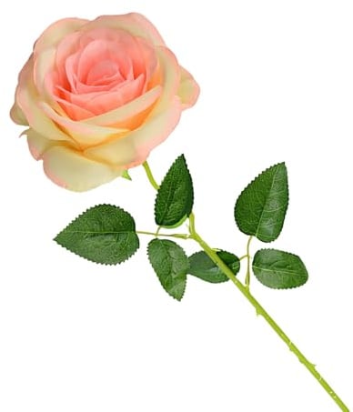 Cosswe Künstliche Seidenrose, künstliche Rose, ewige Blumen, einzelner Stiel als Geschenk verpackt Rosen für Hochzeitssträuße Jubiläen Partys Hotels Büro-Dekoration (Champagnerfarbe)