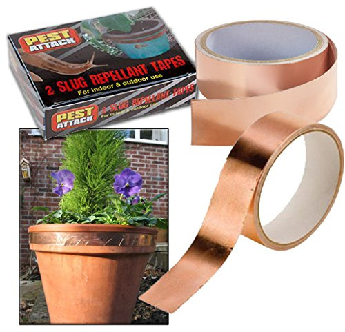 PMS SLUG Repellant Copper Tape 1.5M X 25MM ON Blister Card