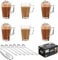 Ever Rich ® 240ML X 6 Tea Coffee Latte Glass Cup Mug (240ML 6PACK+Spoons)