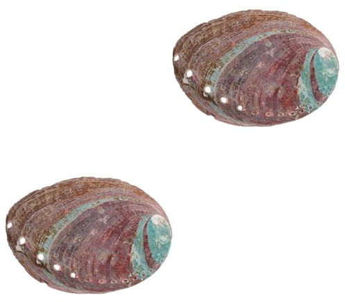 Zerodeko 2St Aromatherapie-Ständer Schale hingabe Topfpflanze weihrauch räuchergefäß weihrauchgefäß Abalone-Muschel zum Verwischen Behälter zum Verbrennen von Gras Abalone-Muschel schmücken